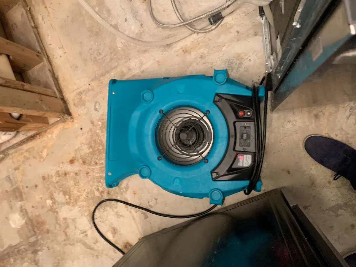 Air mover drying equipment for Mold Remediation & Removal in Gonzales
